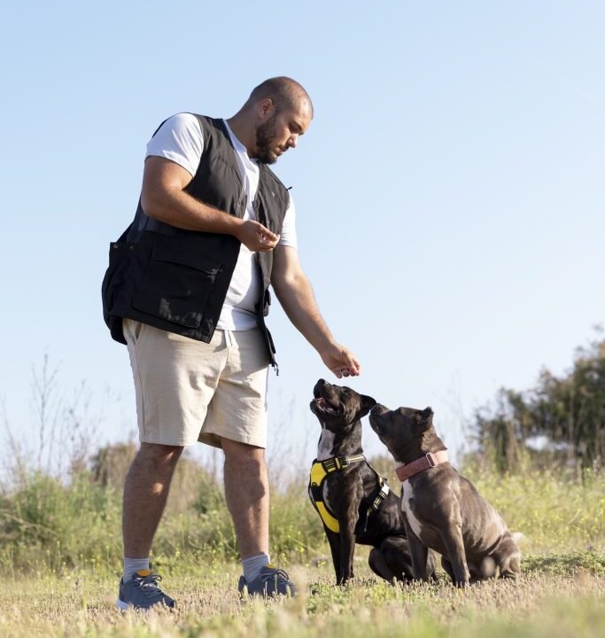 Handler Training for Dog Owners: Expert Strategies to Build a Confident, Connected Team