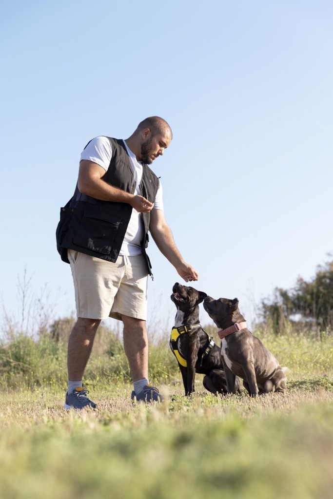 Handler Training for Dog Owners: Expert Strategies to Build a Confident, Connected Team